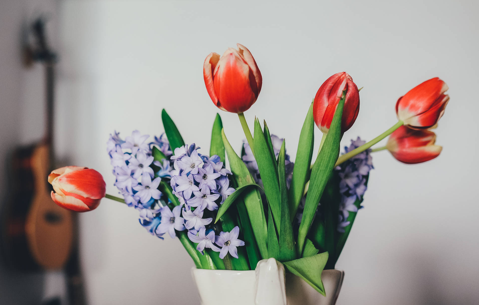 Indoor Oxygen Production & Nature